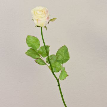 Rose artificielle OPHELIE, rose crème, 85 cm, Ø 7 cm Rose artificielle OPHELIE, rose crème, 85 cm, Ø 7 cm
