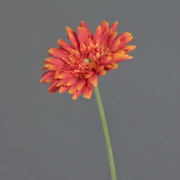 Gerbera artificiel AITANA, orange, 55 cm, Ø 10,5 cm Gerbera artificiel AITANA, orange, 55 cm, Ø 10,5 cm