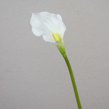 Calla artificiel PEPITA, blanc, 55cm, 7x11cm