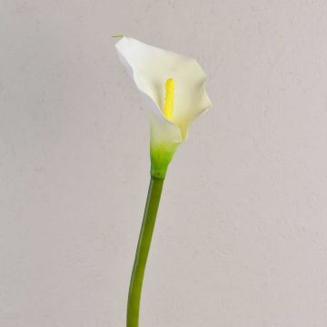 Arum artificiel SUSANA, blanc, 70cm, 8x12cm