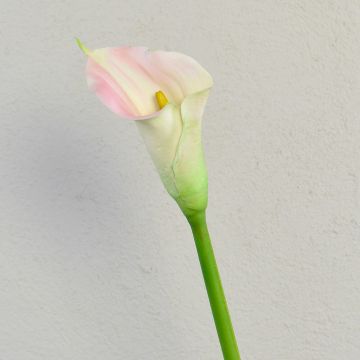 Zantedeschia artificielle TALEA, blanc-rose, 65 cm, 9 x 11 cm Zantedeschia artificielle TALEA, blanc-rose, 65 cm, 9 x 11 cm