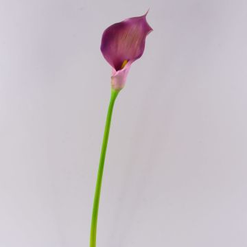 Fleur artificielle Calla TERESA, violet, 70cm, 10x18cm