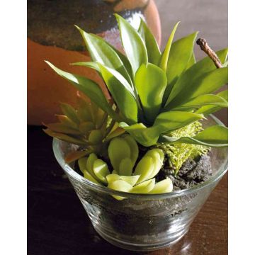 Composition de plantes succulentes artificielles TIMOTHY dans un bocal, vert, 18cm