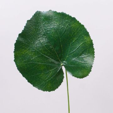 Géranium artificiel à feuilles HEIDEGARD, vert, 38cm, Ø14cm Géranium artificiel à feuilles HEIDEGARD, vert, 38cm, Ø14cm