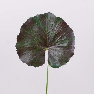 Feuilles de géranium artificielles HEIDEGARD, vert-rouge, 38cm, Ø13cm Feuilles de géranium artificielles HEIDEGARD, vert-rouge, 38cm, Ø13cm
