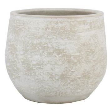 Cache-pot en ciment ASIALY avec veinures, gris clair, 31 cm, Ø 36 cm Cache-pot en ciment ASIALY avec veinures, gris clair, 31 cm, Ø 36 cm