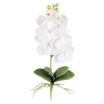 Orchidée Phalaenopsis artificielle DRINTOR, piquet, racines, blanc, 40cm