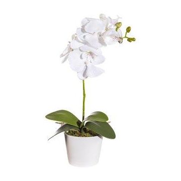 Orchidée Phalaenopsis artificielle TRALKE, piquet, racines, blanc, 40cm