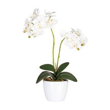 Orchidée Phalaenopsis artificielle FRUXO, piquet, racines, blanc, 50cm Orchidée Phalaenopsis artificielle FRUXO, piquet, racines, blanc, 50cm