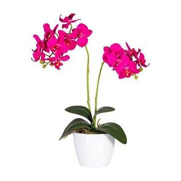 Orchidée Phalaenopsis artificielle FRUXO, piquet, racines, rose fuchsia, 50cm Orchidée Phalaenopsis artificielle FRUXO, piquet, racines, rose fuchsia, 50cm