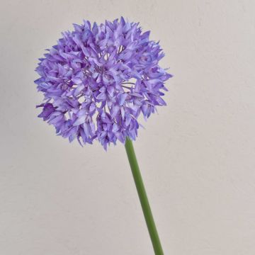 Textilblume Zierlauch LISBETH, lila, 70cm, Ø15cm Textilblume Zierlauch LISBETH, lila, 70cm, Ø15cm