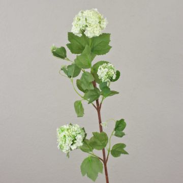 Viorne artificielle DJAMILA, blanc-vert, 75cm, Ø4-8cm