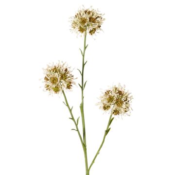 Branche d'allium synthétique ZEBU, crème, 65cm, Ø7cm