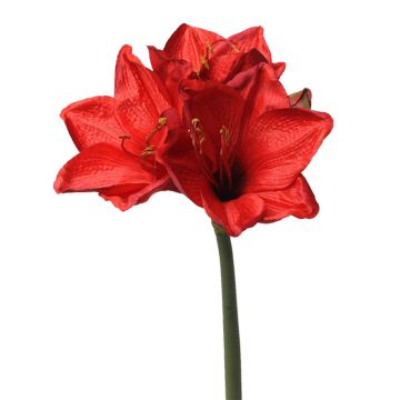 Amaryllis artificiel BENITA, rouge, 55cm, Ø10cm Amaryllis artificiel BENITA, rouge, 55cm, Ø10cm
