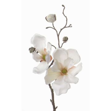 Fleur artificielle Magnolia MALBINE, crème, 50cm, Ø6-10cm Fleur artificielle Magnolia MALBINE, crème, 50cm, Ø6-10cm