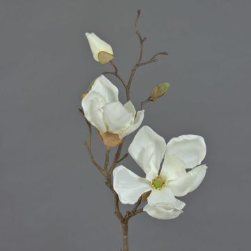 Fleur artificielle Magnolia MALBINE, crème, 50cm, Ø6-10cm