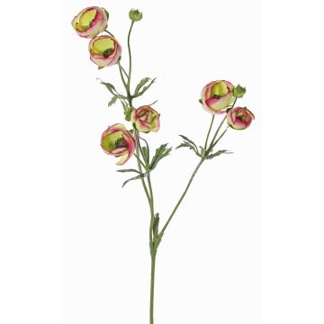 Renoncule artificielle YARIS, vert-fuchsia, 65cm, Ø3-4,5cm