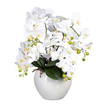 Composition florale artificielle: orchidée Phalaenopsis WEMBER avec saule torsadé, pot en céramique, racines, blanc, 55cm