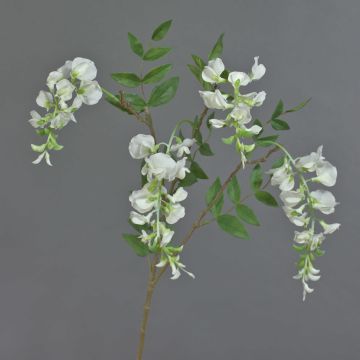 Branche de glycine artificielle SOULA avec fleurs, blanche, 80 cm, Ø 7-8 cm Branche de glycine artificielle SOULA avec fleurs, blanche, 80 cm, Ø 7-8 cm