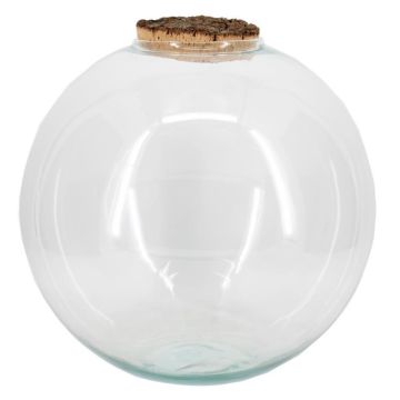 Terrarium sphérique en verre JABUEL avec couvercle en liège, transparent, 34cm, Ø35cm Terrarium sphérique en verre JABUEL avec couvercle en liège, transparent, 34cm, Ø35cm