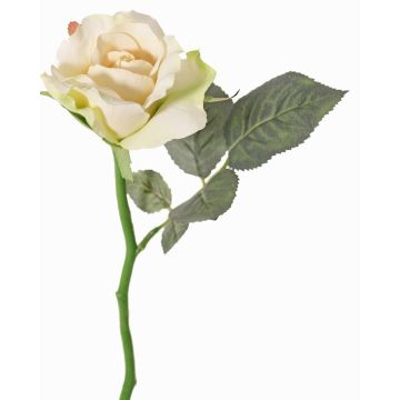 Rose artificielle ELLI, crème-rose, 30cm, Ø6,5cm Rose artificielle ELLI, crème-rose, 30cm, Ø6,5cm