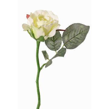 Rose artificielle ELLI, crème-blanche, 30cm, Ø6,5cm Rose artificielle ELLI, crème-blanche, 30cm, Ø6,5cm