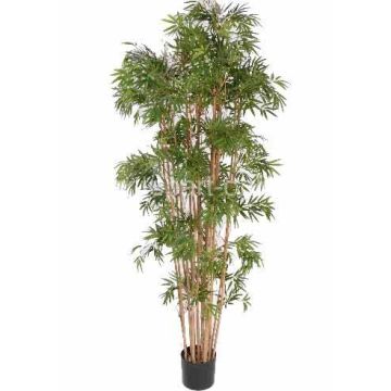 Bambou artificiel NARO, tiges authentiques, 150 cm Bambou artificiel NARO, tiges authentiques, 150 cm