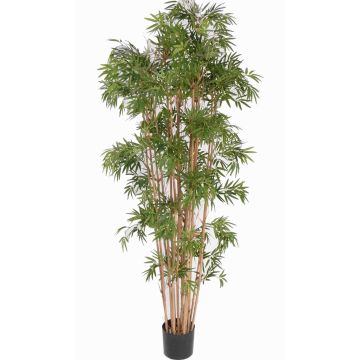 Bambou artificiel NARO, tiges naturelles, 210cm Bambou artificiel NARO, tiges naturelles, 210cm