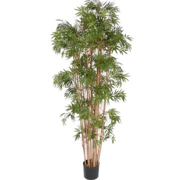 Bambou artificiel NARO, tiges naturelles, 210 cm Bambou artificiel NARO, tiges naturelles, 210 cm