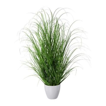 Herbe décorative Pennisetum KIVRA en pot décoratif, vert, 75cm Herbe décorative Pennisetum KIVRA en pot décoratif, vert, 75cm