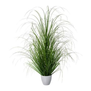 Herbe décorative Pennisetum KIVRA en pot décoratif, vert, 90cm