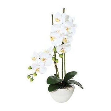 Orchidée Phalaenopsis artificielle DINKA dans une coupe en céramique, racines, blanc, 50cm