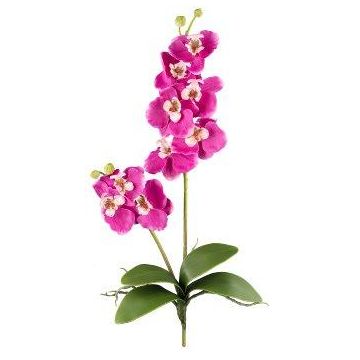 Orchidée Phalaenopsis artificielle MORLEK, piquet, racines, rose fuchsia, 60cm