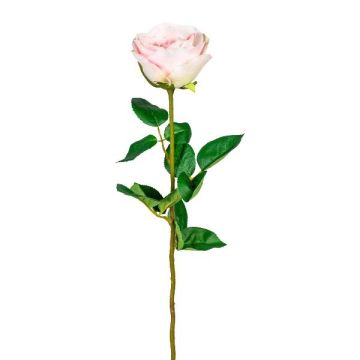Fleur artificielle Rose NORLAN, rose, 70cm