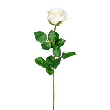 Fleur artificielle Rose NORLAN, crème, 70cm Fleur artificielle Rose NORLAN, crème, 70cm