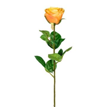 Fleur artificielle Rose NORLAN, abricot, 70cm, Ø8cm