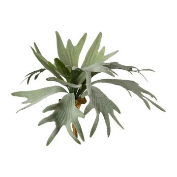 Plante artificielle fougère à bois SLUHAR, tige, verte, 35cm