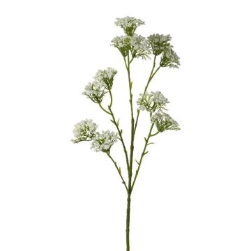Branche artificielle Achillée GRUNTO, blanc, 65cm Branche artificielle Achillée GRUNTO, blanc, 65cm