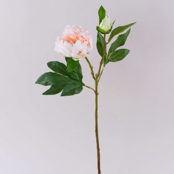 Pivoine synthétique FYRFAR, ouverte, rose clair, 60cm Pivoine synthétique FYRFAR, ouverte, rose clair, 60cm