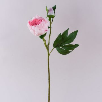 Pivoine synthétique FYRFAR, semi-ouverte, rose, 60cm Pivoine synthétique FYRFAR, semi-ouverte, rose, 60cm