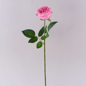 Rose pommée artificielle MARNUK, rose, 60 cm, Ø 9 cm Rose pommée artificielle MARNUK, rose, 60 cm, Ø 9 cm