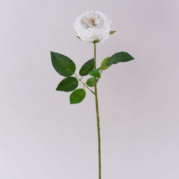 Rose en forme de chou artificielle MARNUK, blanc crème, 60 cm, Ø 9 cm Rose en forme de chou artificielle MARNUK, blanc crème, 60 cm, Ø 9 cm