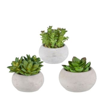 Arrangement de plantes succulentes artificielles ZIFER dans un pot en ciment, 3 pièces, vert, 8-10cm