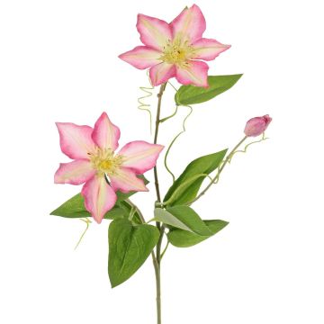 Branche de clématite artificielle DORAN, rose-vert, 75 cm, Ø 11-13 cm Branche de clématite artificielle DORAN, rose-vert, 75 cm, Ø 11-13 cm