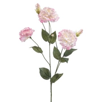 Fleur synthétique Lisianthus RENARA, rose-crème, 75cm Fleur synthétique Lisianthus RENARA, rose-crème, 75cm