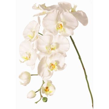 Branche décorative d'orchidée Phalaenopsis WESA, blanche, 90 cm, Ø 11-12,5 cm