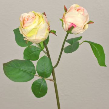 Fleur décorative Rose RENATUS, crème-rose, 45cm