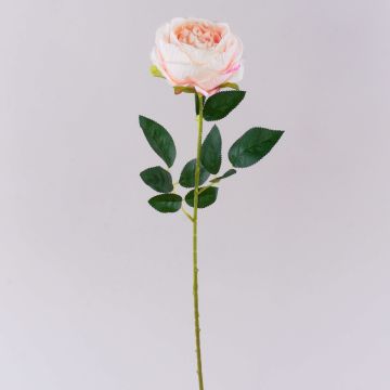 Fleur en plastique Rose CHERLEN, rose pâle, 60cm, Ø10cm Fleur en plastique Rose CHERLEN, rose pâle, 60cm, Ø10cm