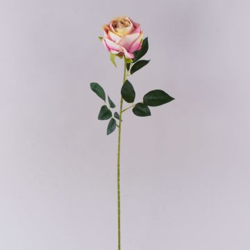 Fleur en plastique Rose CHERLEN, rose-crème, 60cm, Ø10cm Fleur en plastique Rose CHERLEN, rose-crème, 60cm, Ø10cm