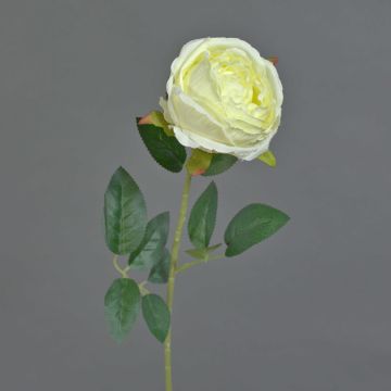 Fleur en plastique Rose CHERLEN, blanc, 60cm, Ø10cm